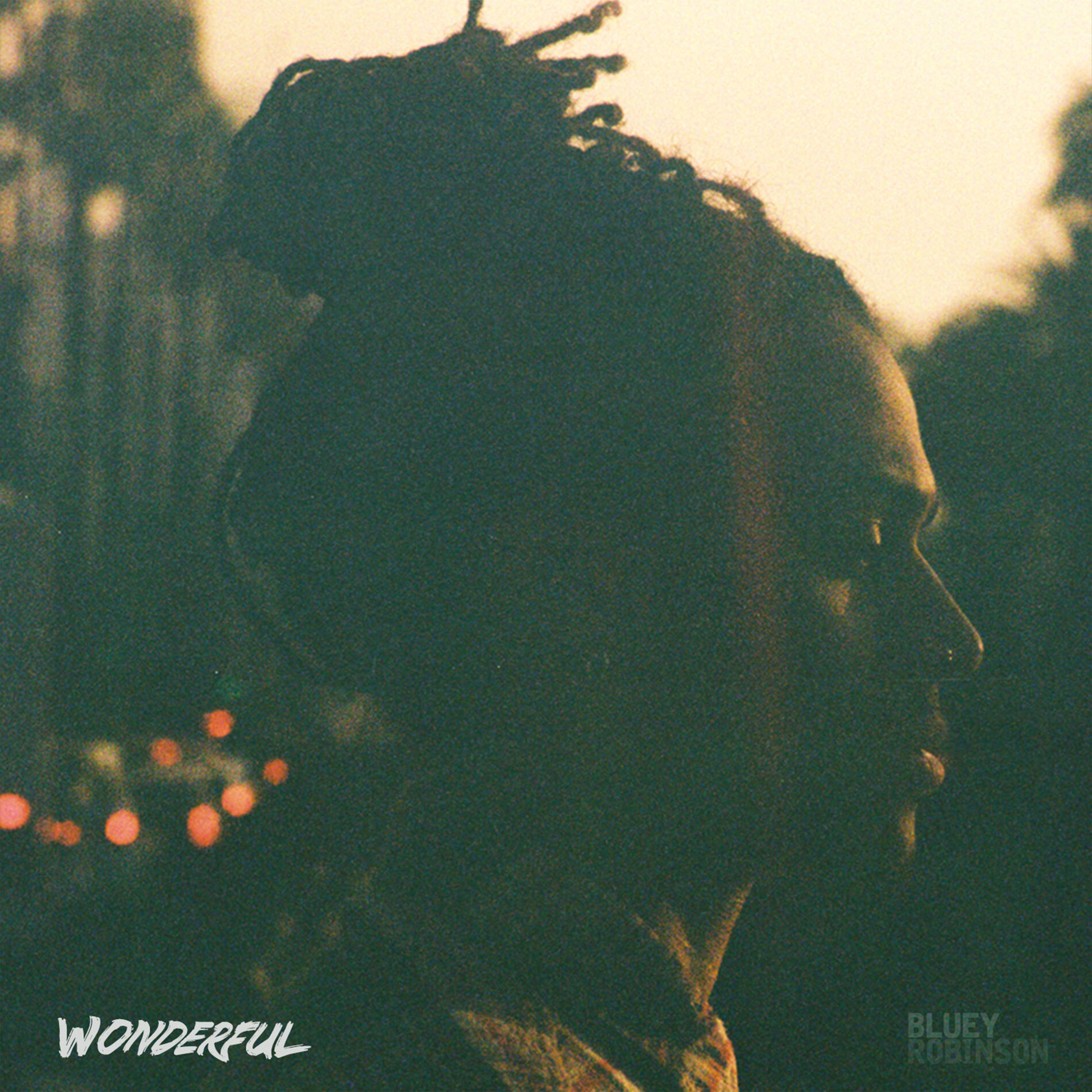 Album cover of Wonderful