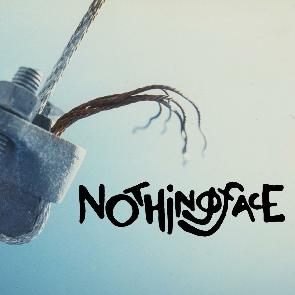 Album cover of Nothingface