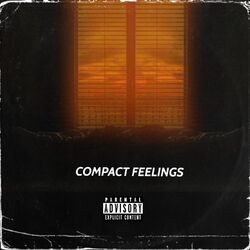 Cover of Compact Feelings
