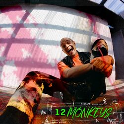 Cover of 12 Monkeys Mixtape