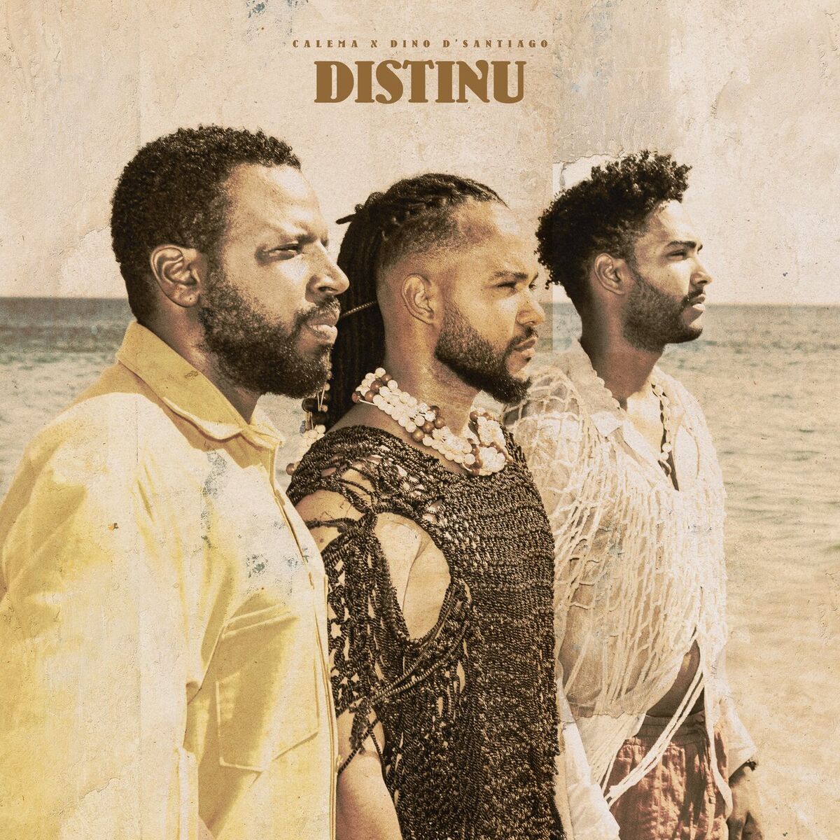 Album cover of Distinu