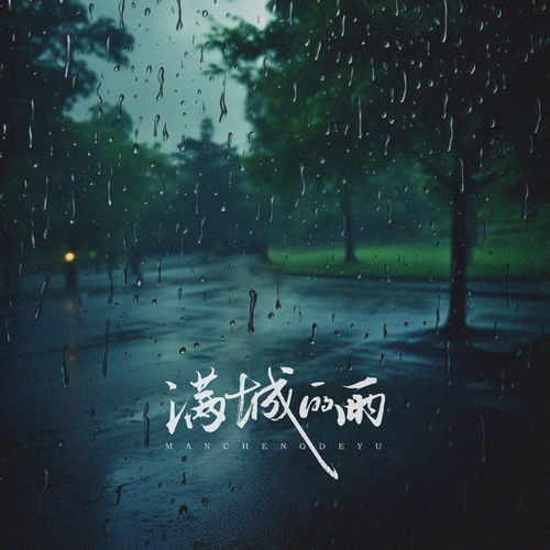 满城的雨