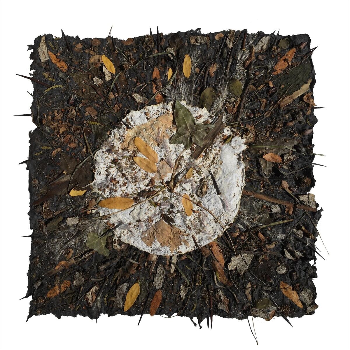 Album cover of Phases