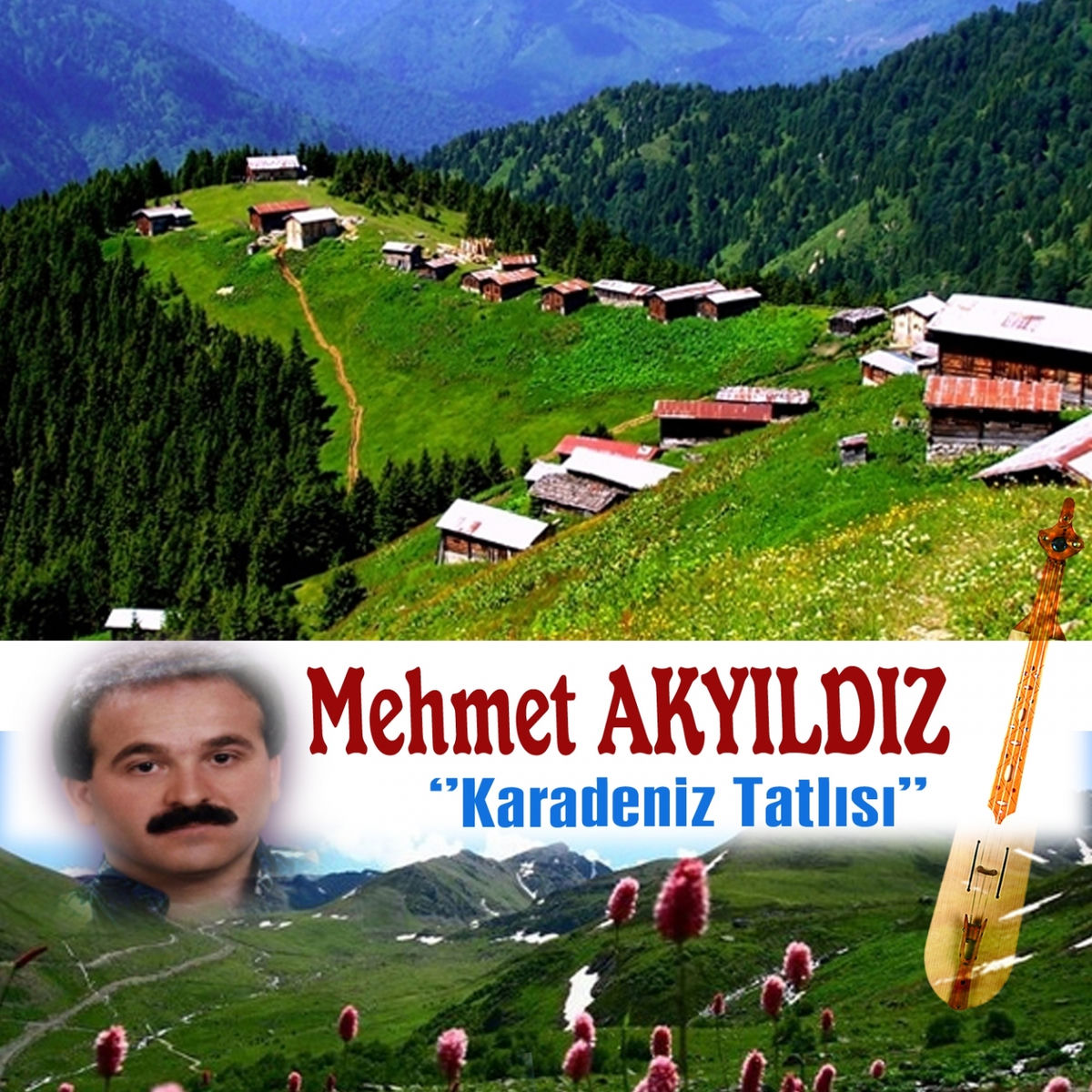 Album cover of Karadeniz Tatlısı