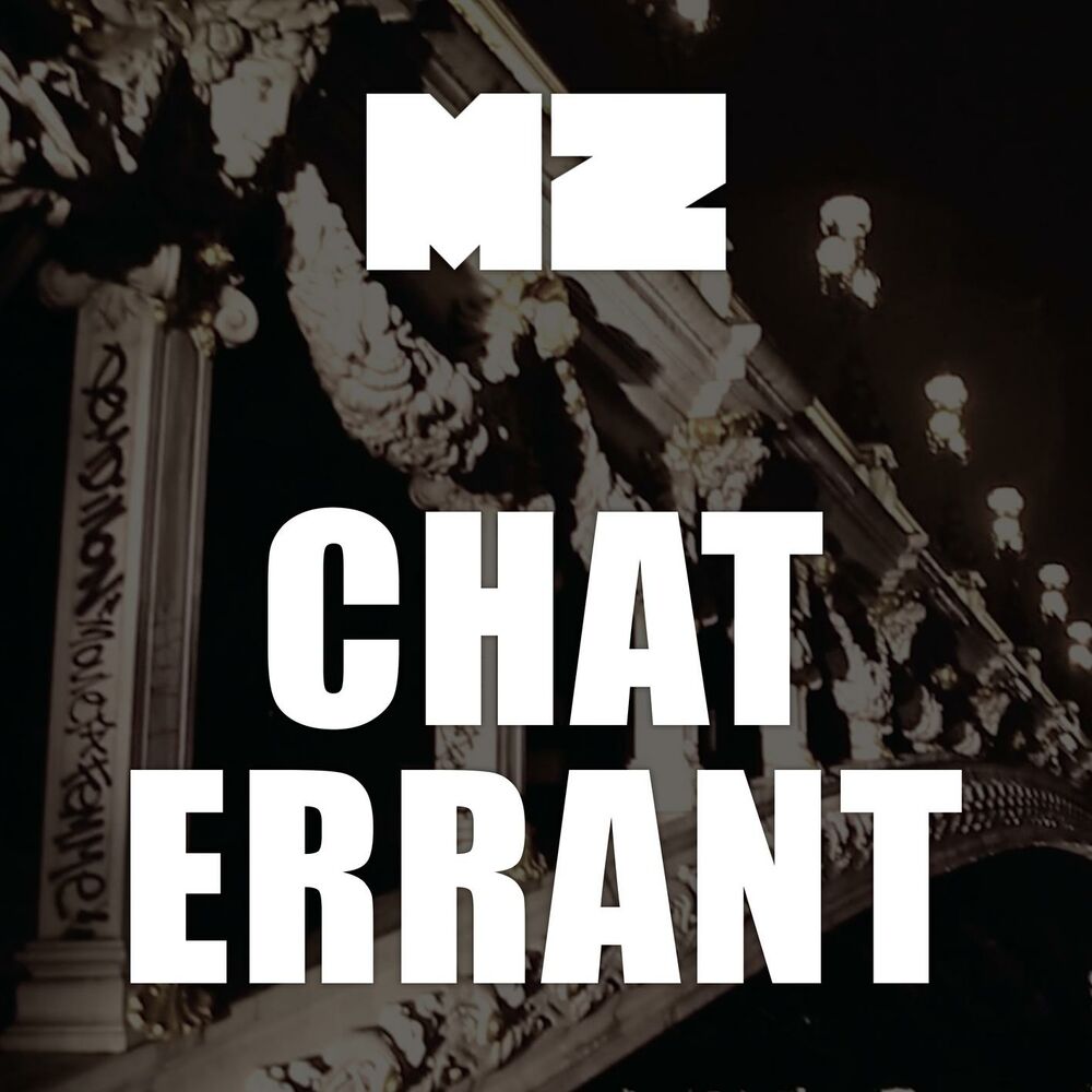 Picture of Chat errant