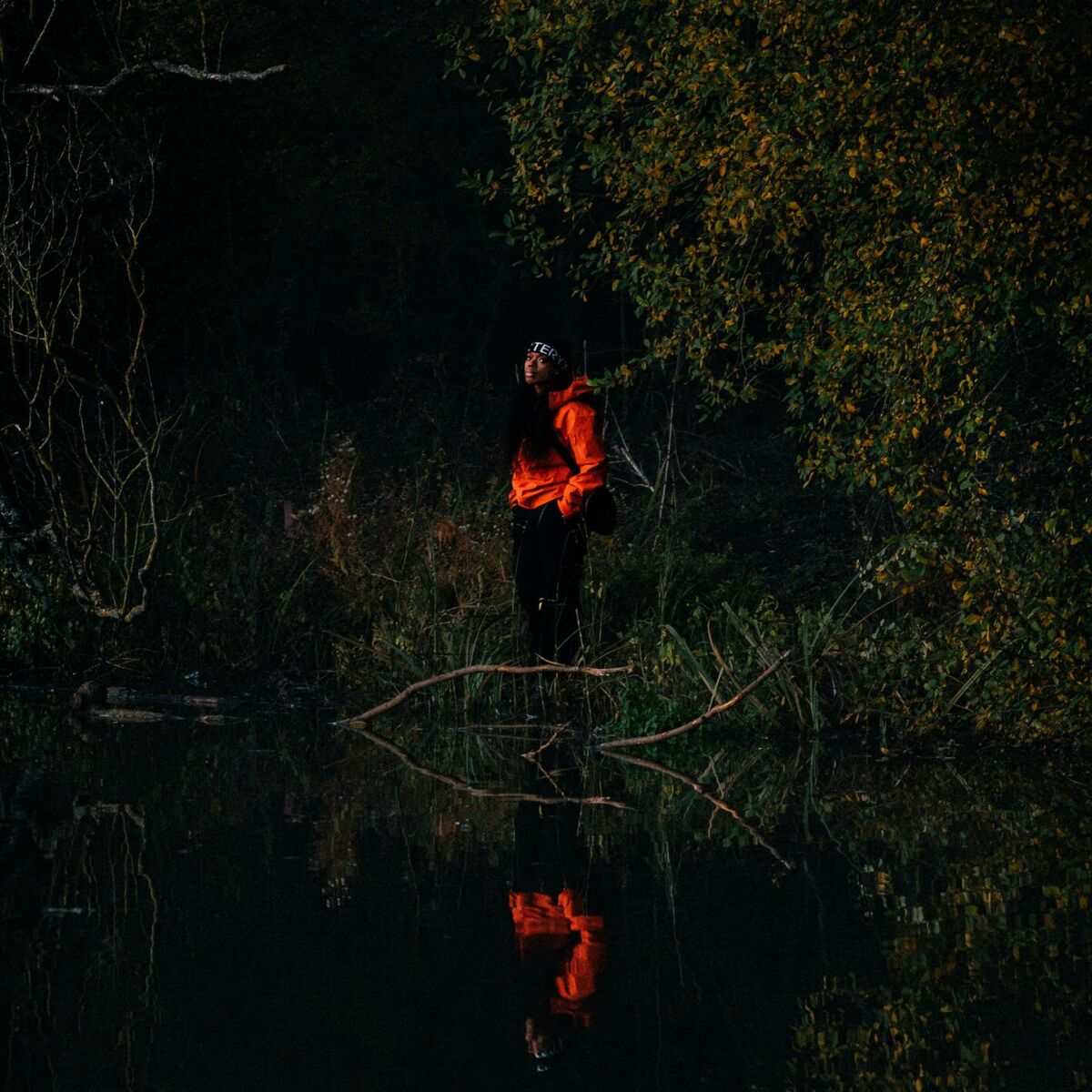 Album cover of Antisocial