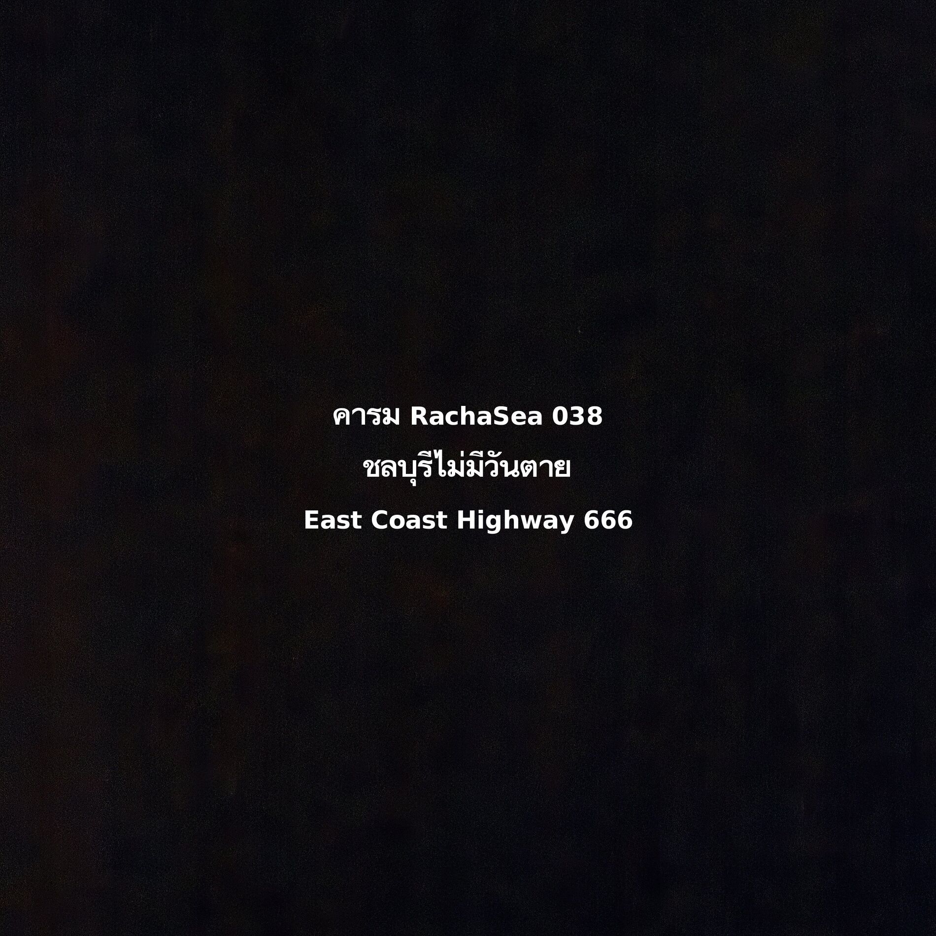 Album cover of ชลบุรีไม่มีวันตาย