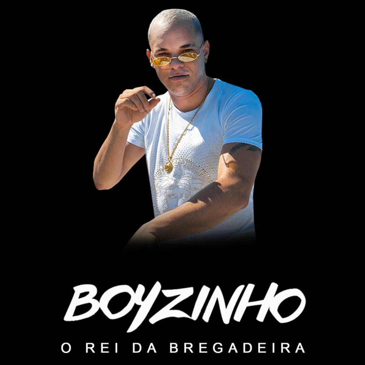 Album cover of Trip do Boyzinho