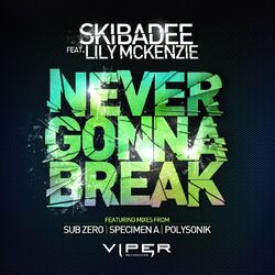 Cover of Never Gonna Break