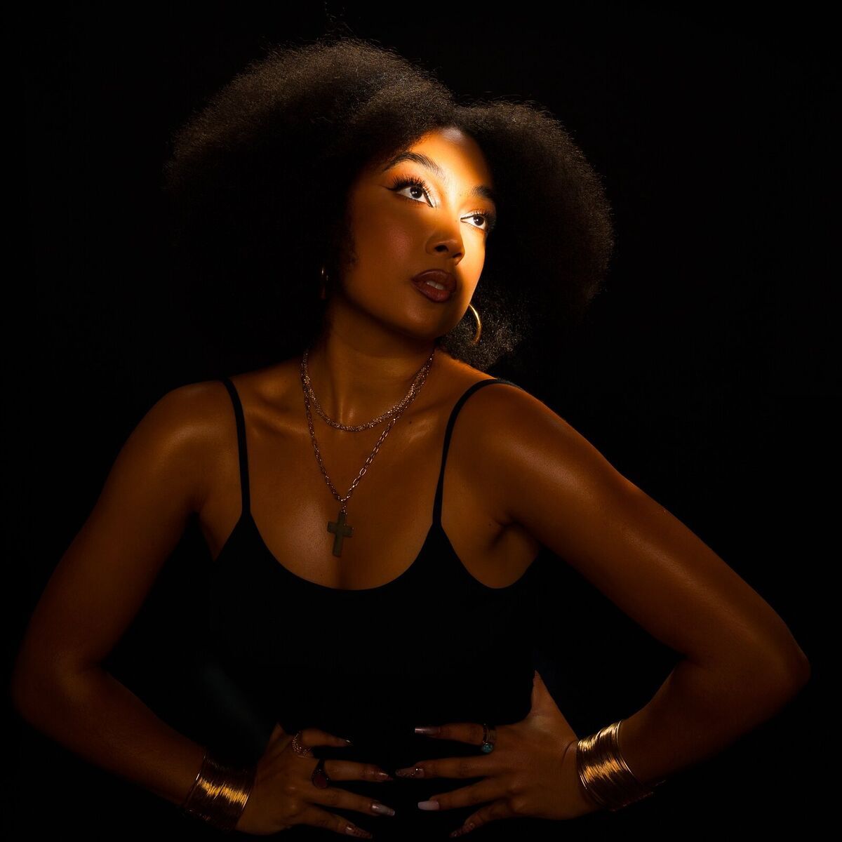 Album cover of Les Ailes