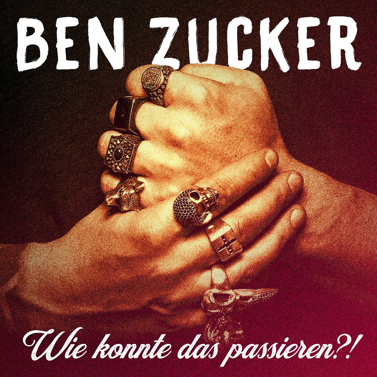 Album cover of Wie konnte das passieren?!