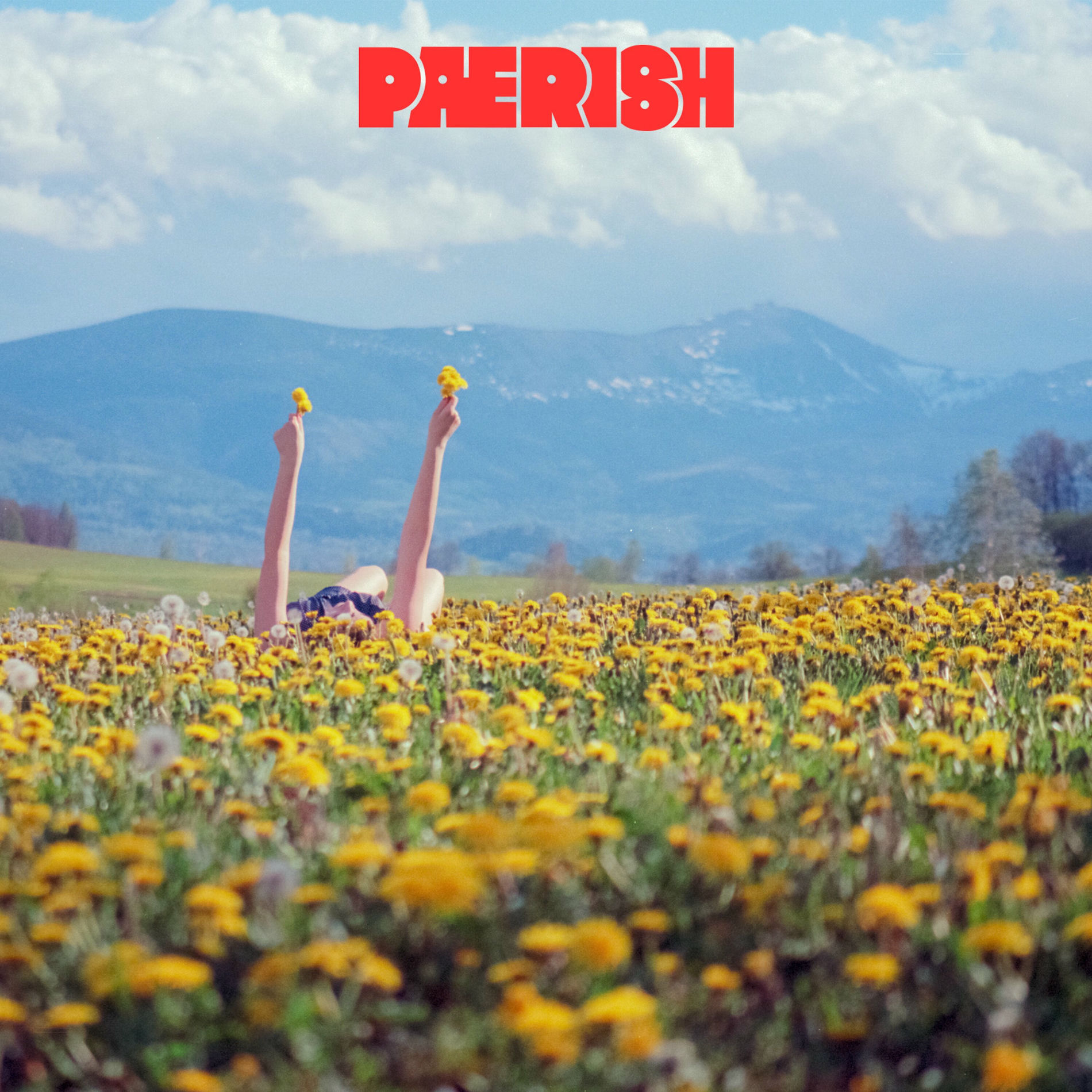 Album cover of Still There