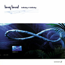 Cover of Infinity + Infinity