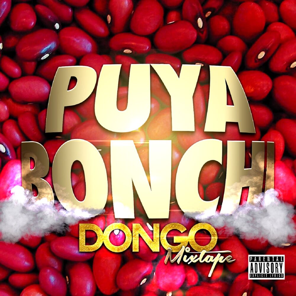 Picture of Puya Bonchi