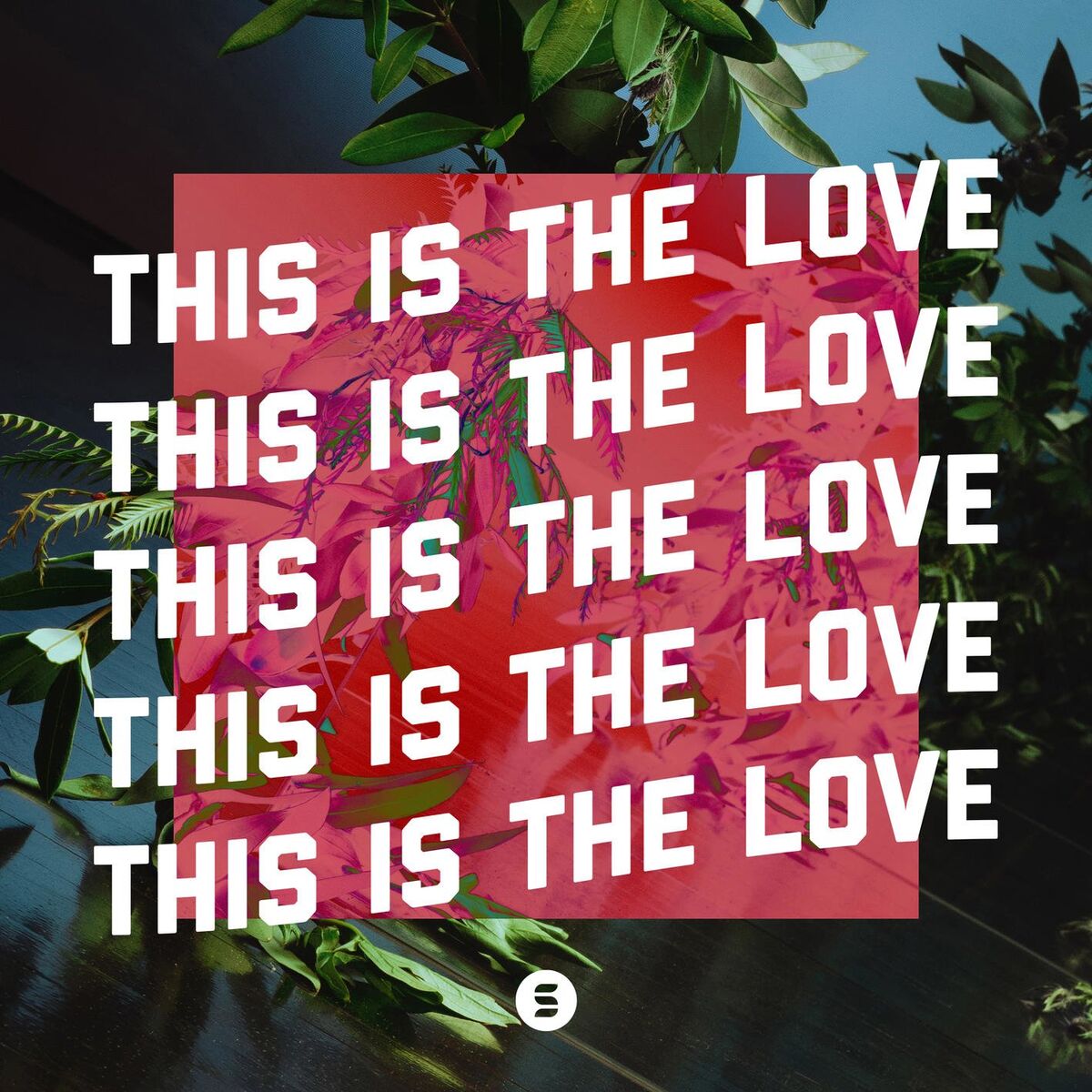 Album cover of This Is The Love