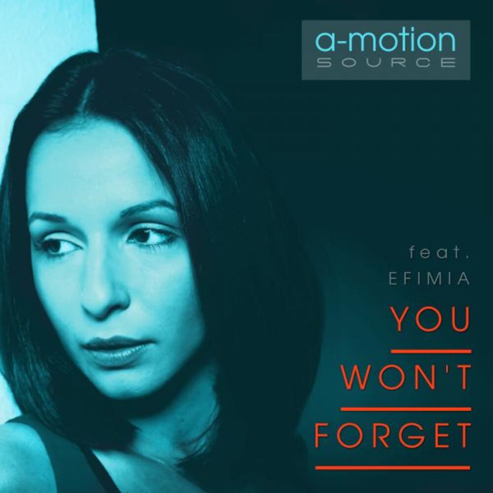 Picture of You Won't Forget