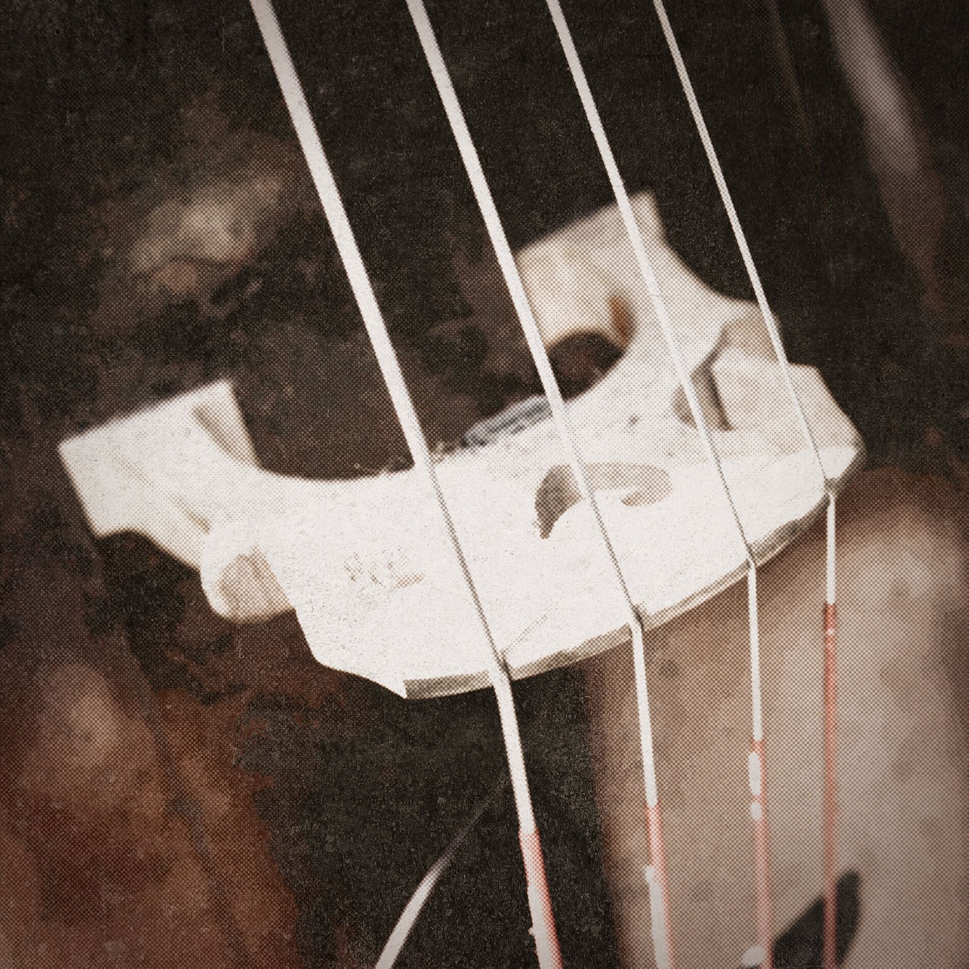 Album cover of Tibby Fowler