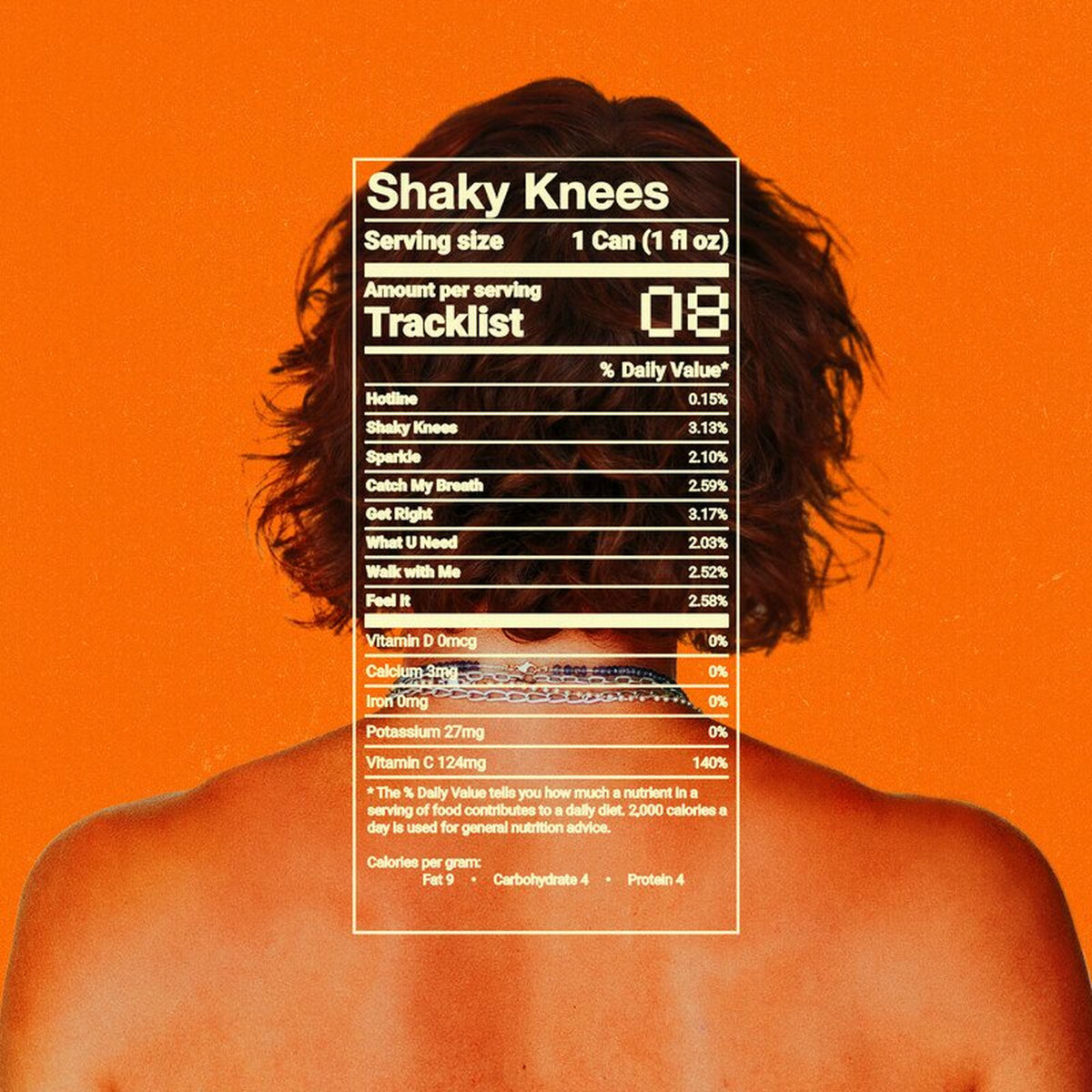 Album cover of Shaky Knees