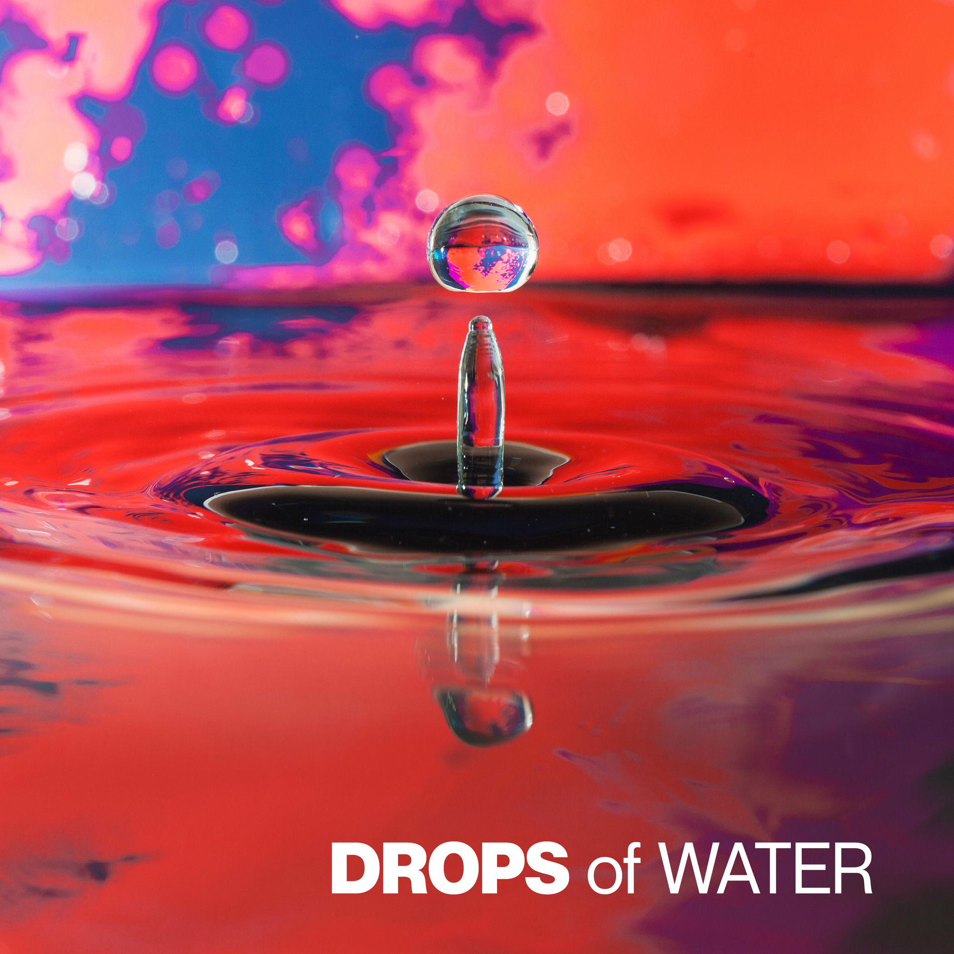 Album cover of Drops of Water: ASMR, Soundscapes, Nature Sounds