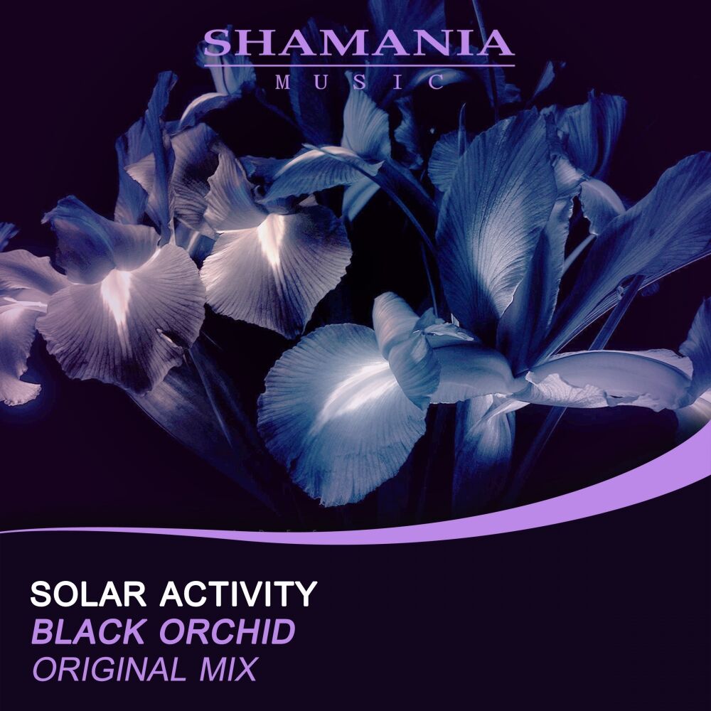 Picture of Black Orchid