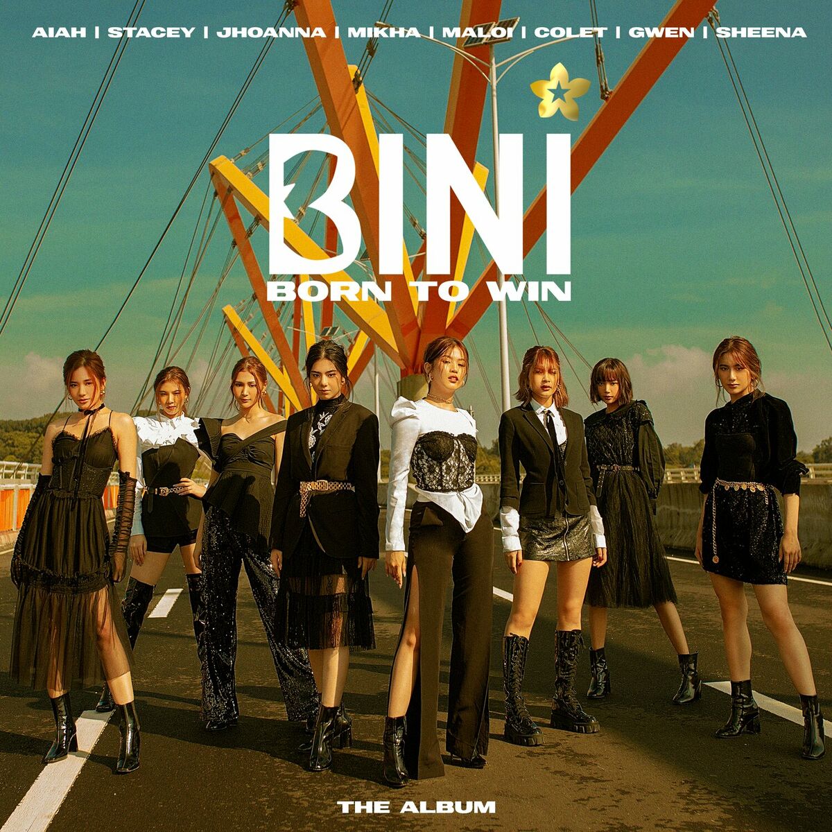Album cover of Born To Win