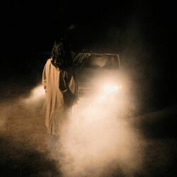 Fled Into The Night