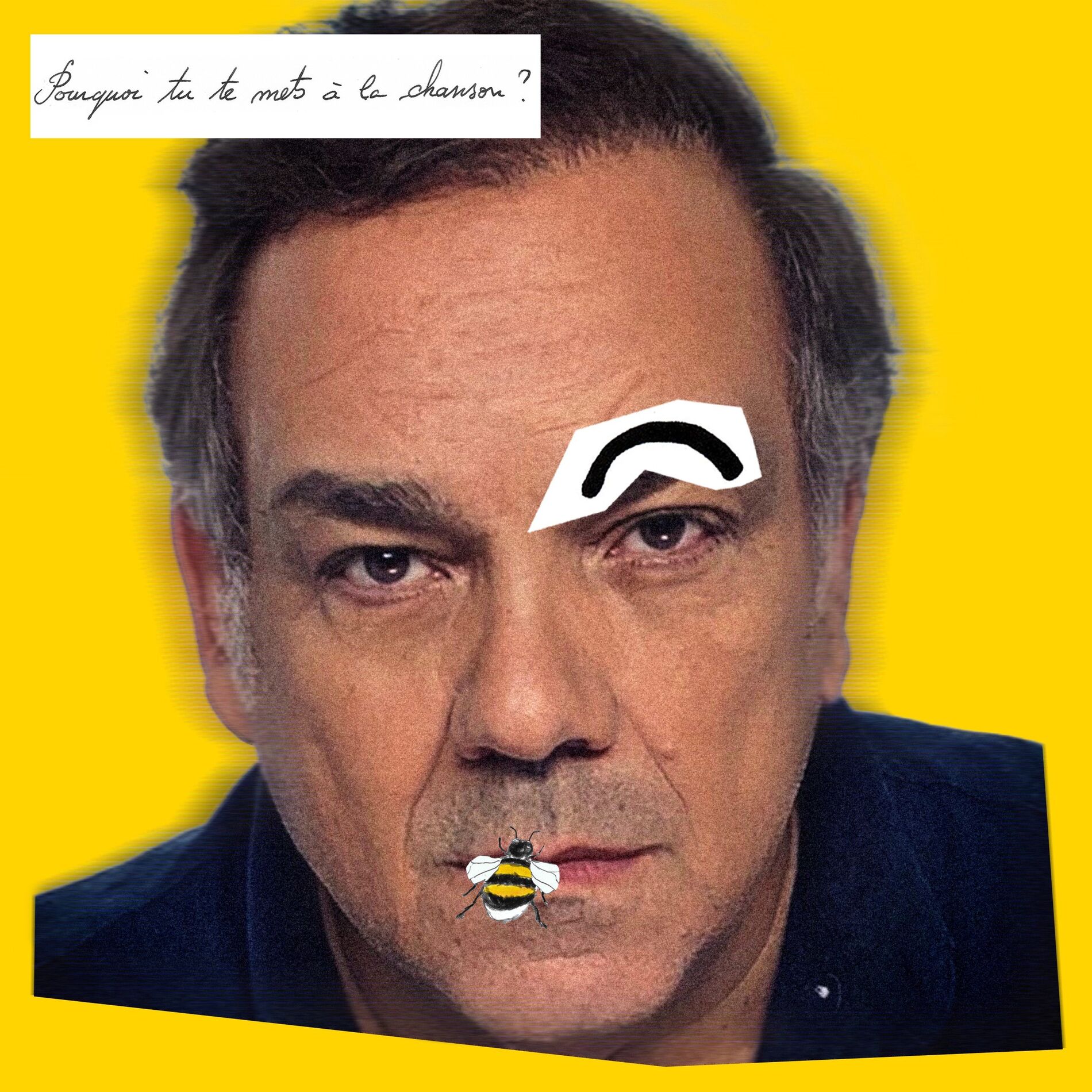 Album cover of Pourquoi tu te mets à la chanson