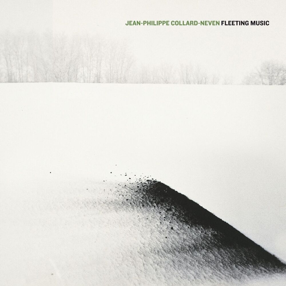 Picture of Fleeting music