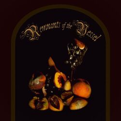 music cover