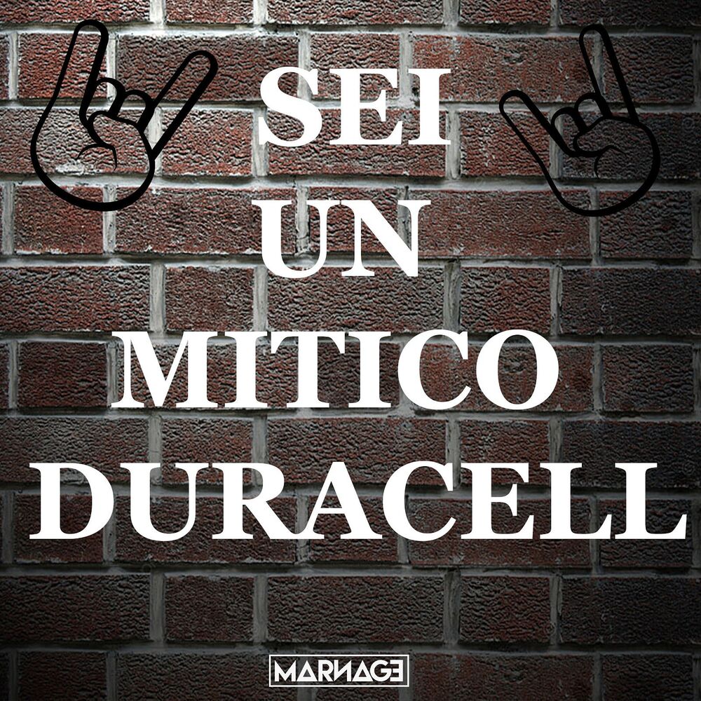 Picture of Sei Un Mitico Duracell