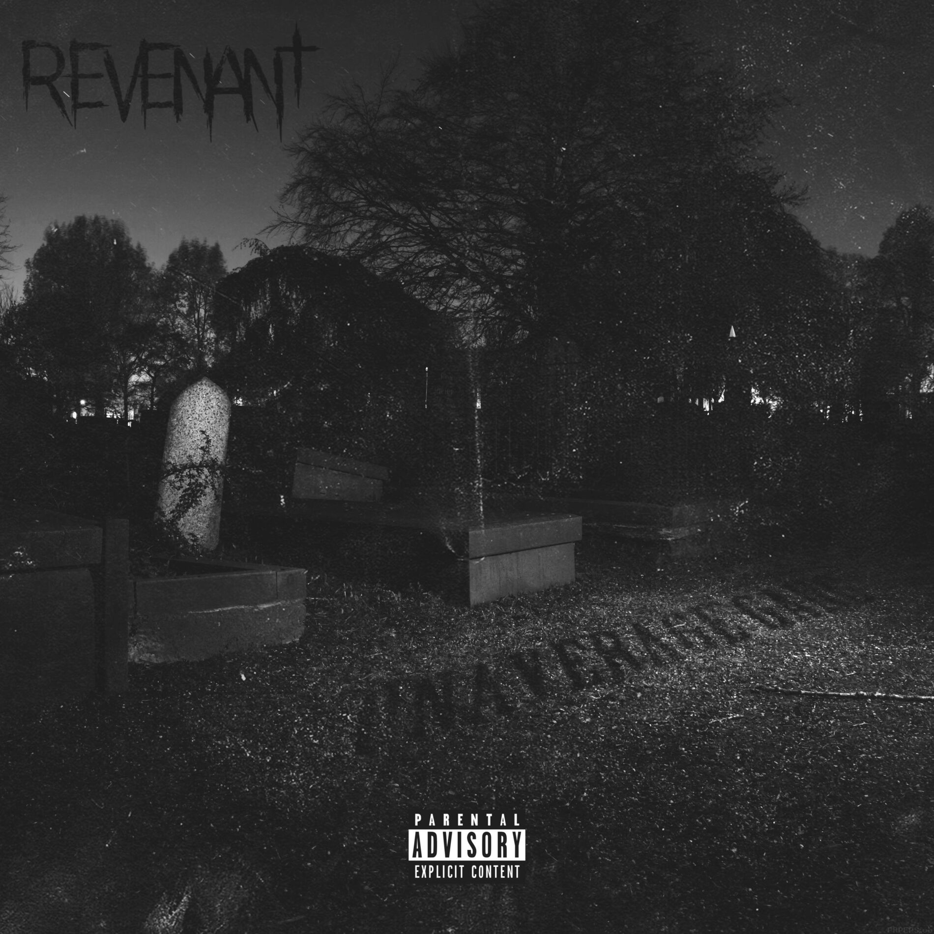 Album cover of Revenant