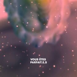 Cover of Vous êtes parfait.es