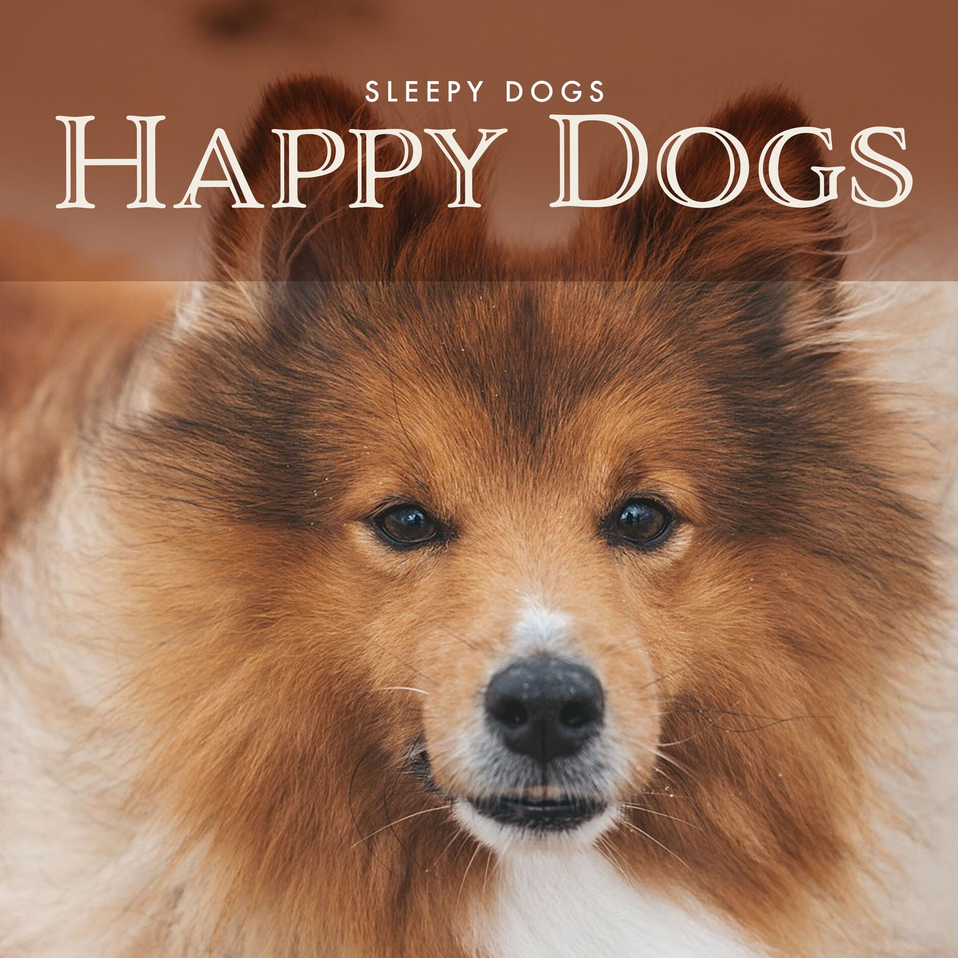 Album cover of Happy Dogs