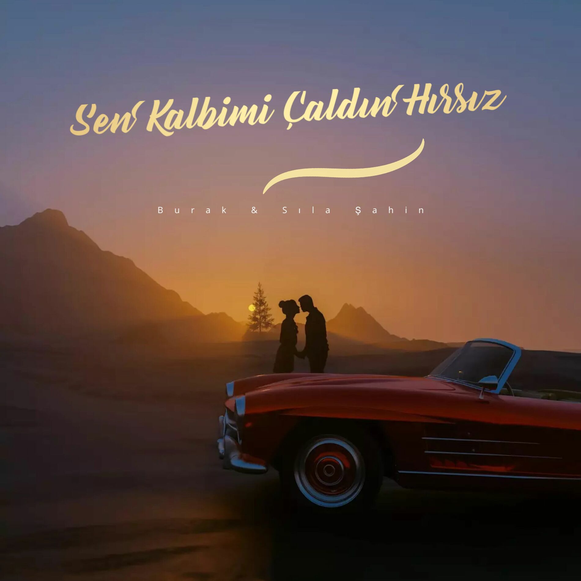 Album cover of Sen Kalbimi Çaldın Hırsız