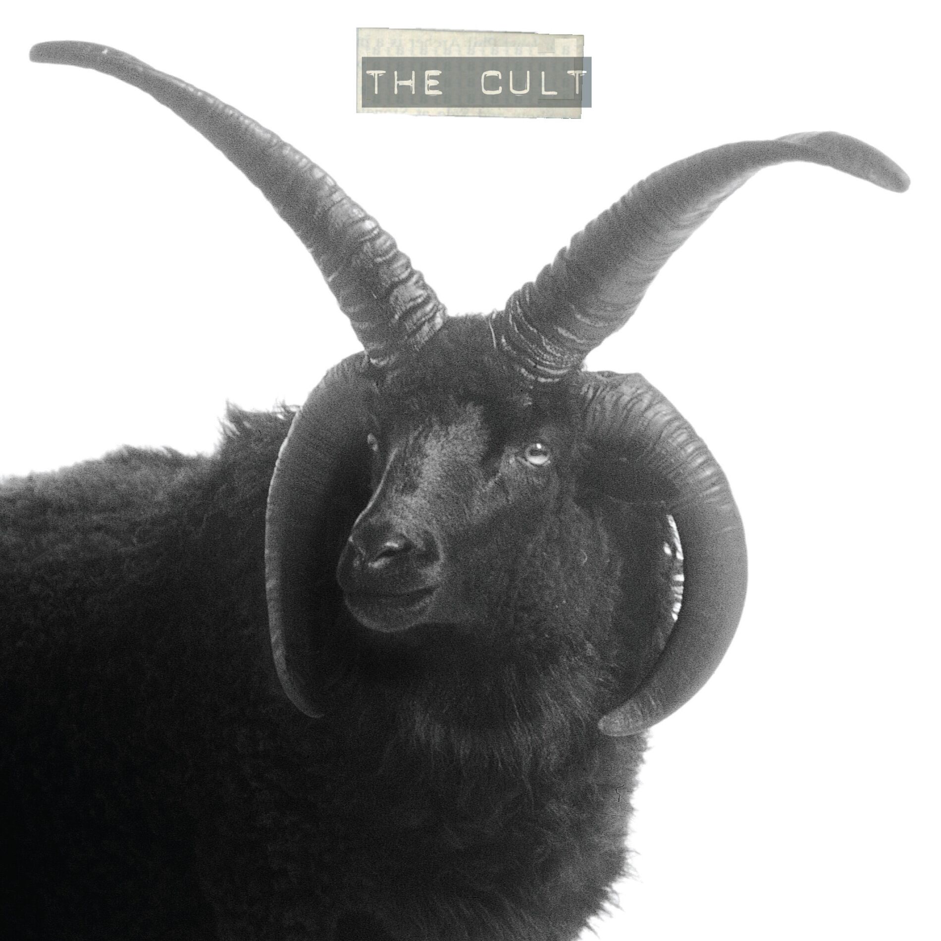 Album cover of Gone