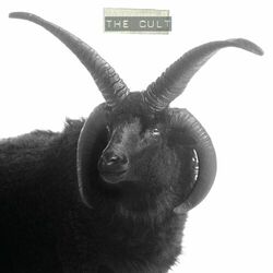 Cover of The Cult