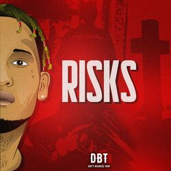 Cover of Risks