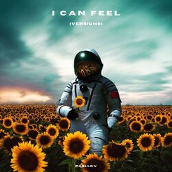 Cover of i can feel