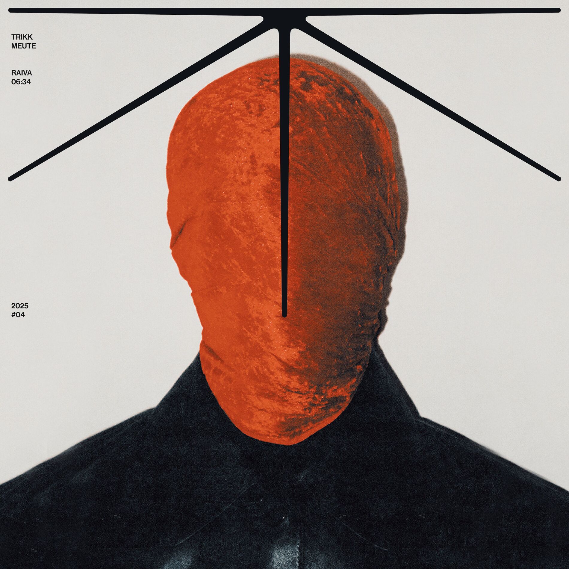 Album cover of Raiva