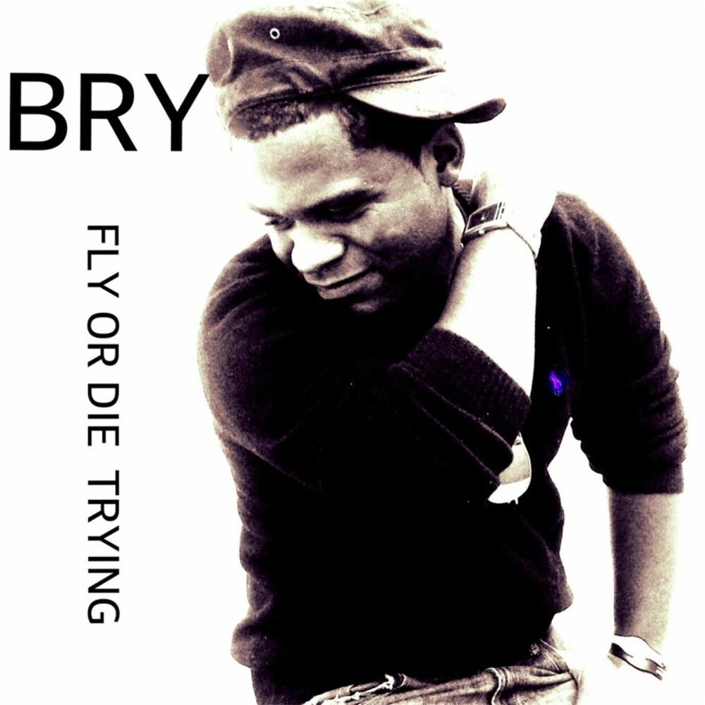 Picture of Fly or Die Trying