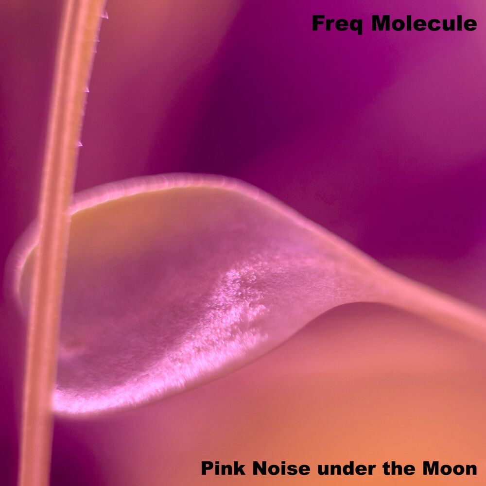 Picture of Pink Noise under the Moon