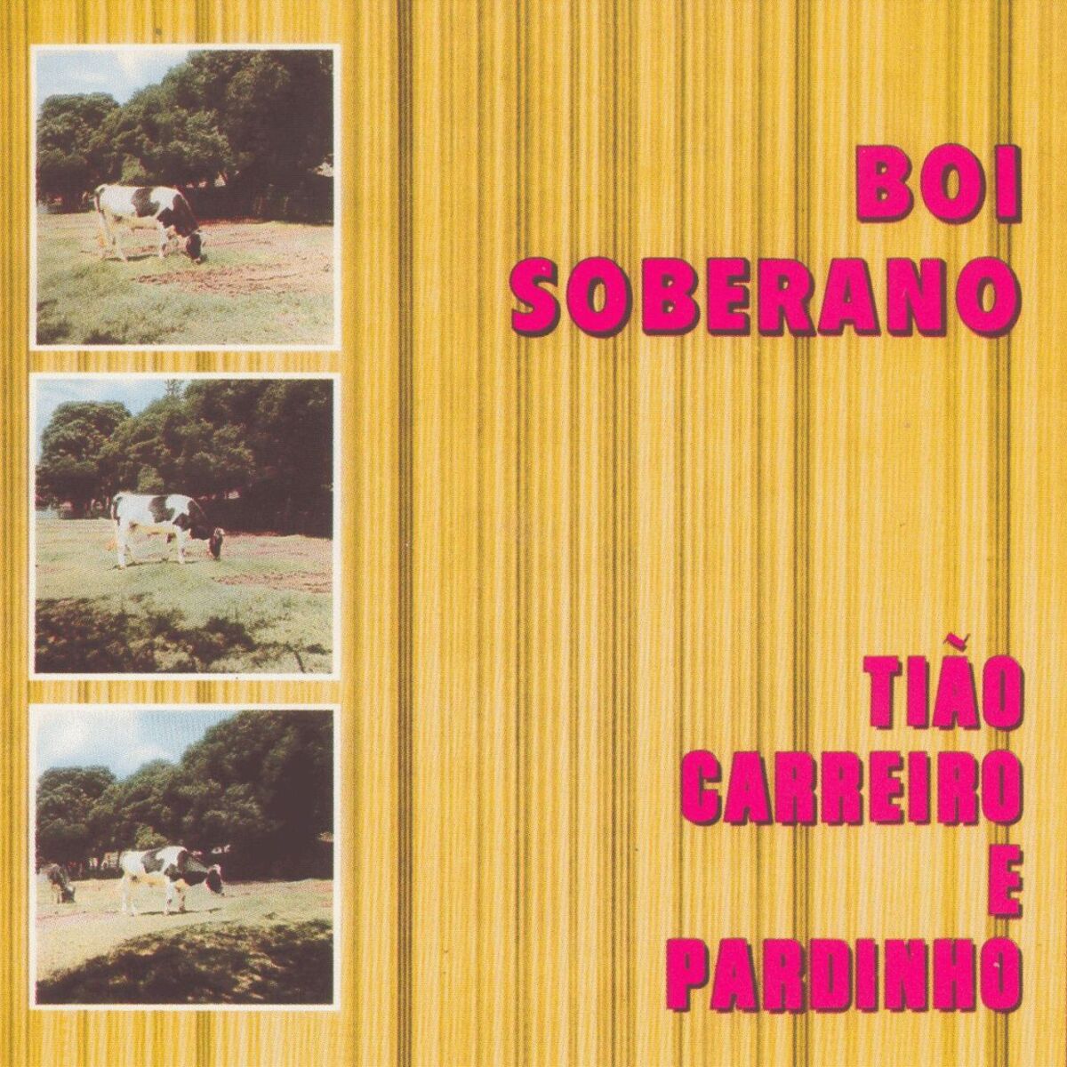 Album picture of Boi Soberano