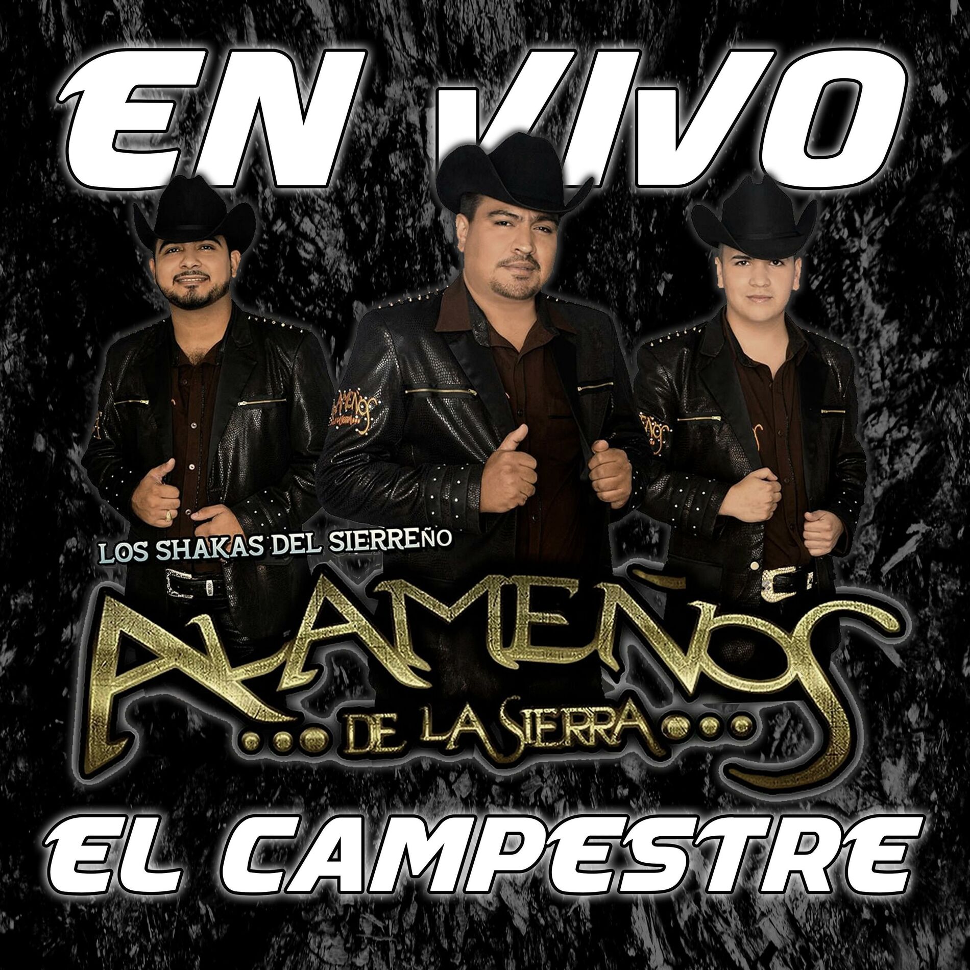 Album cover of En Vivo El Campestre