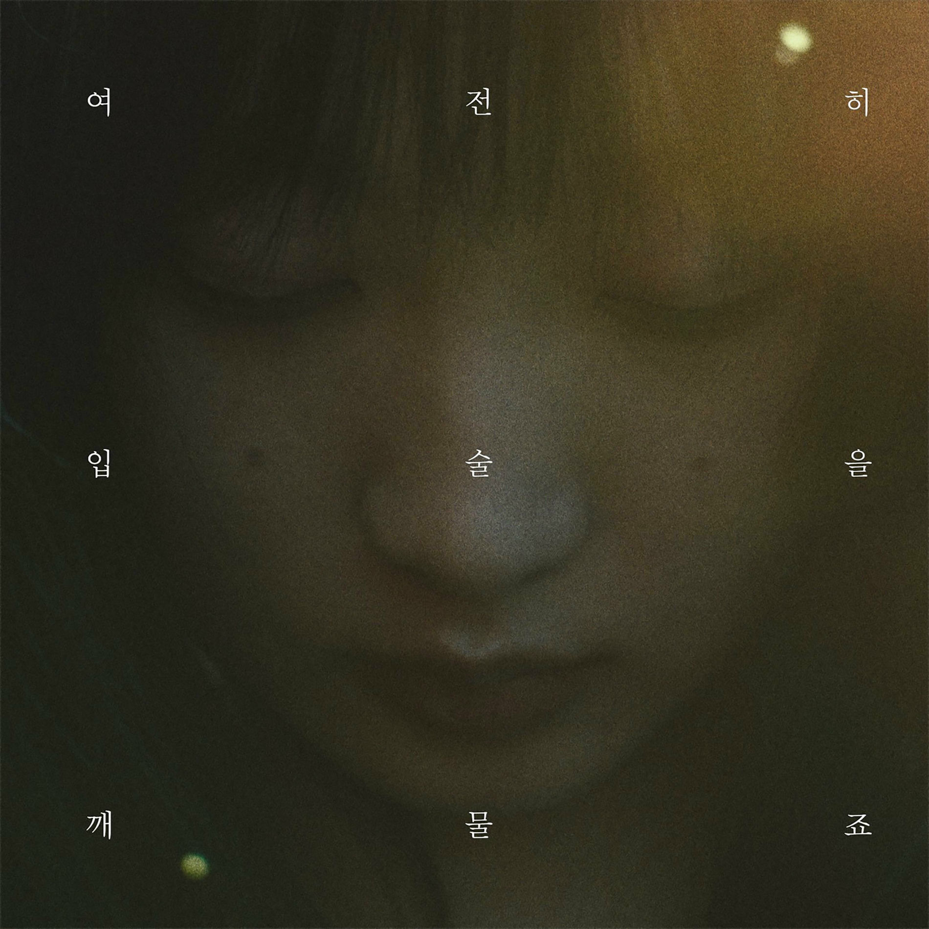 Album cover of Swallowing Tears