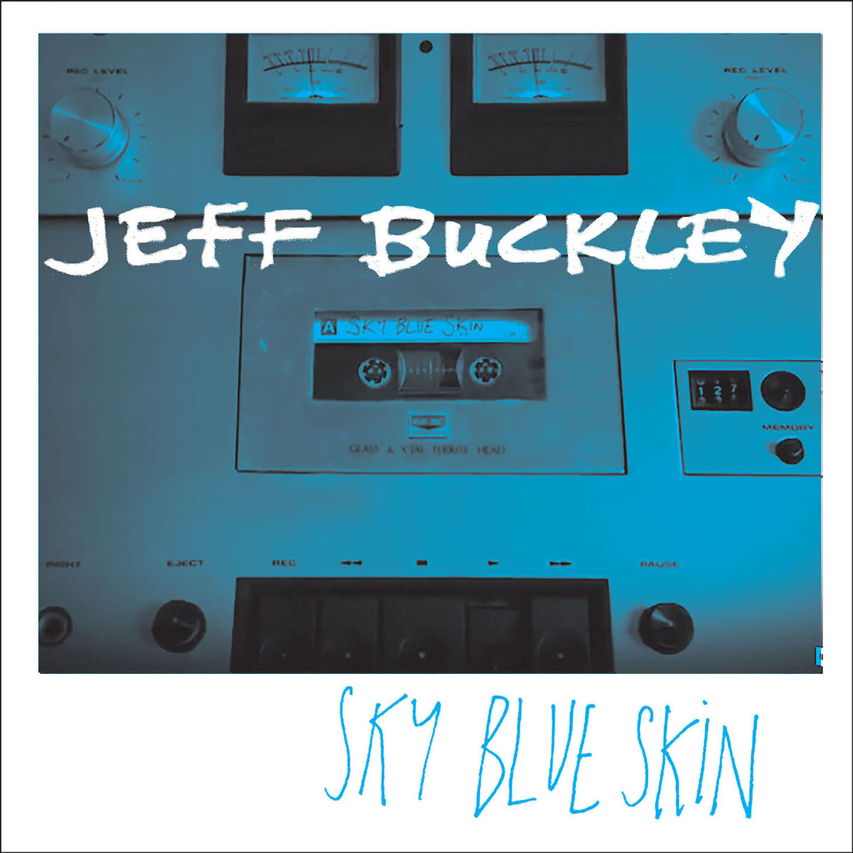Album cover of Sky Blue Skin