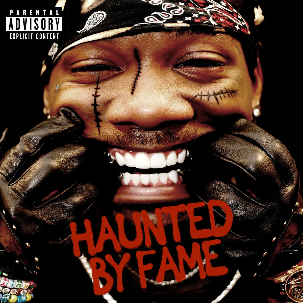 Album cover of HAUNTED BY FAME