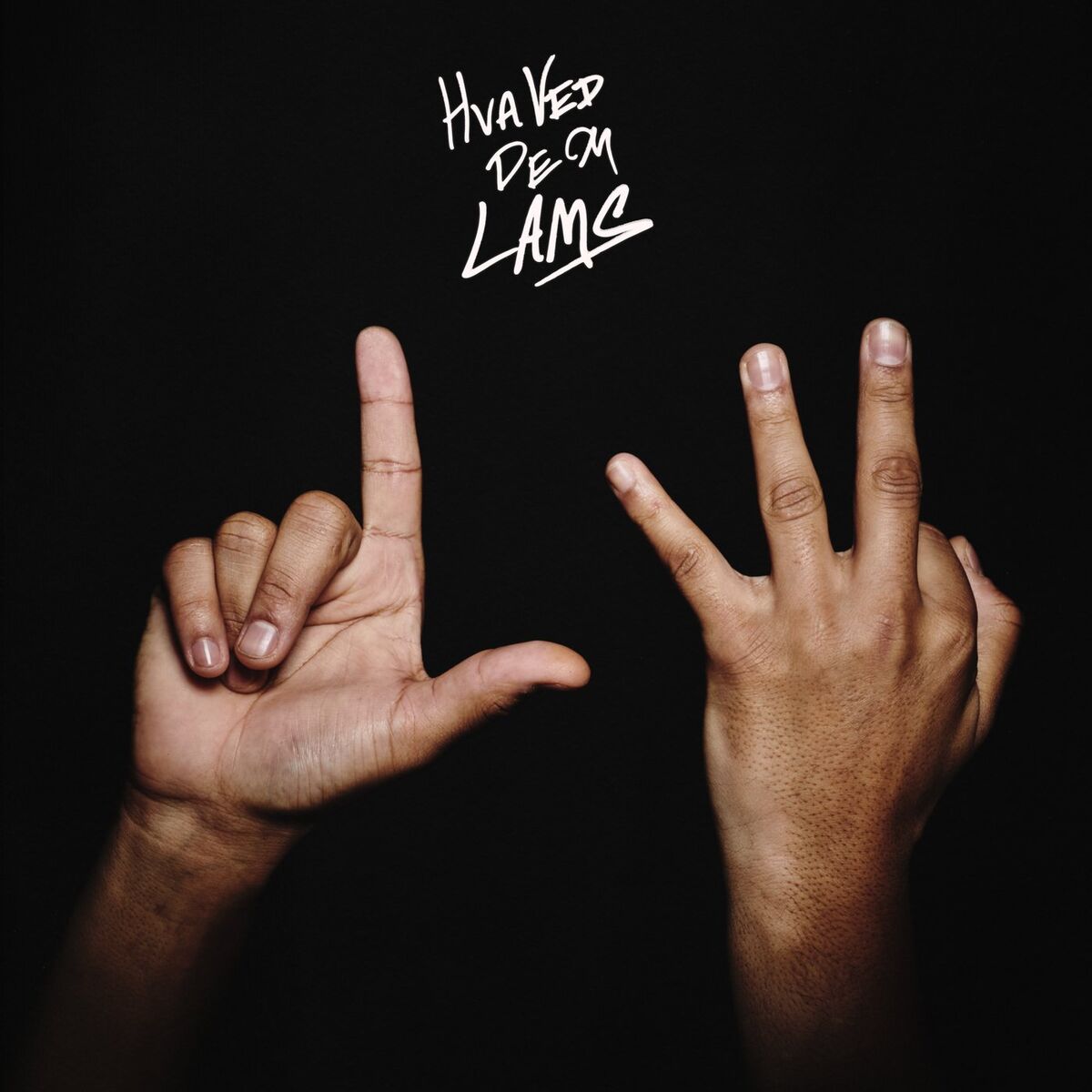 Album cover of Hva ved de om Lams