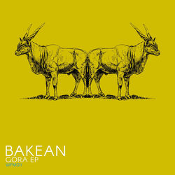 Cover of Gora by undefined