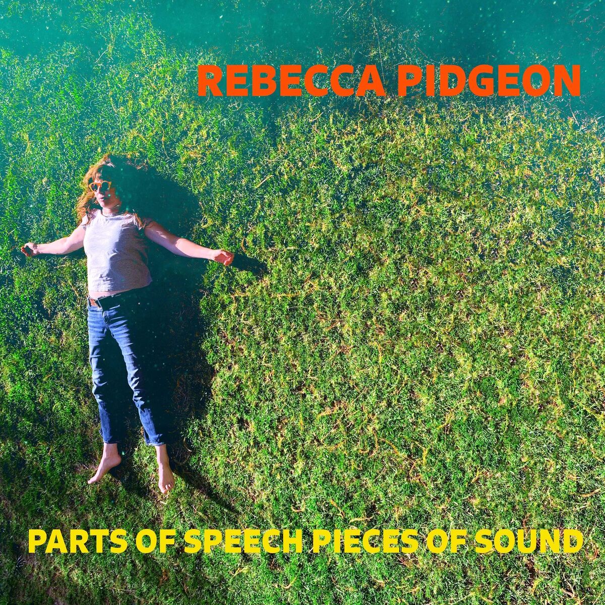 Album cover of Parts of Speech Pieces of Sound