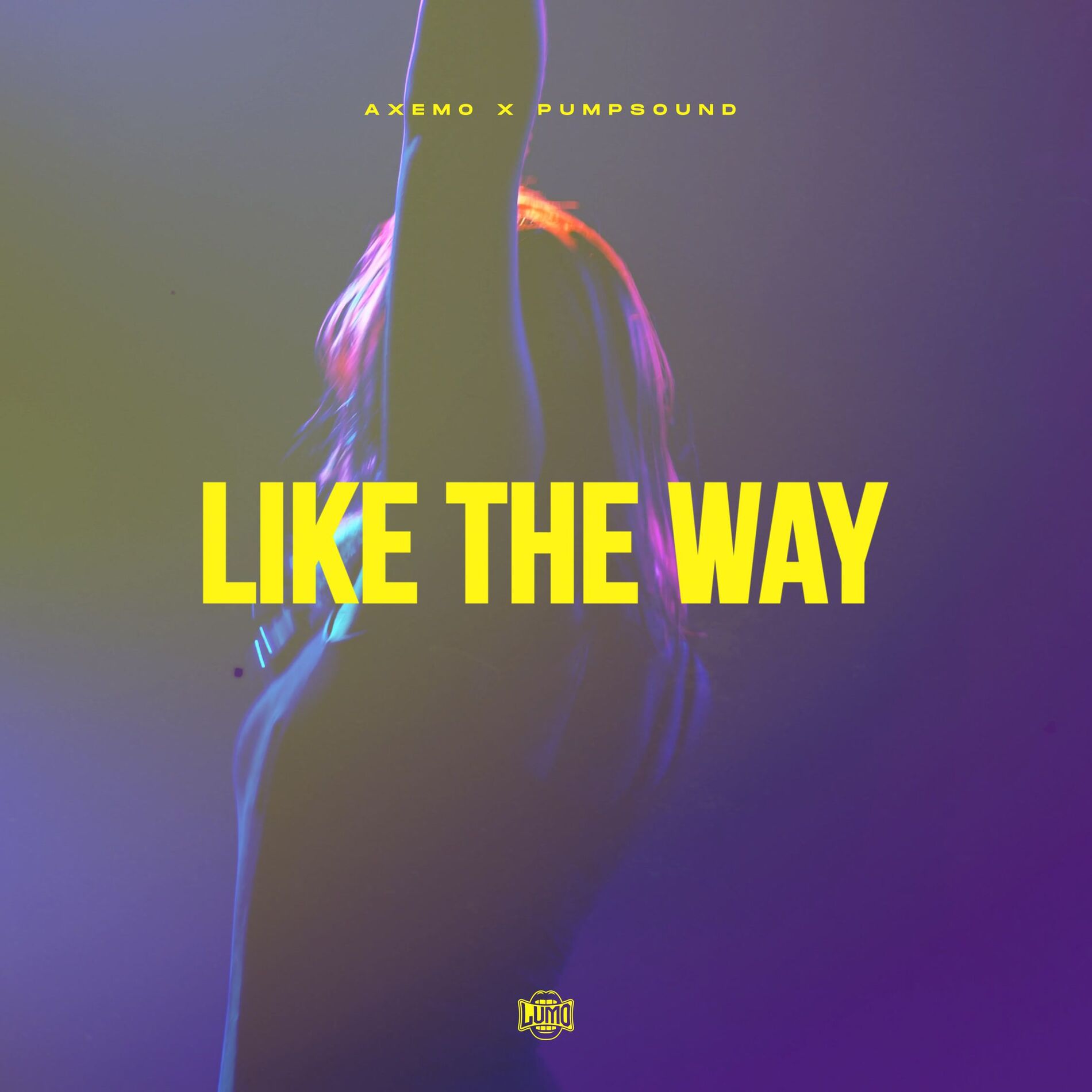 Album cover of Like The Way